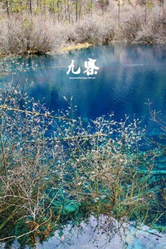 动漫传奇2.4